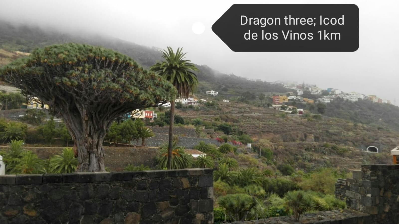 Los Geranios N.25 Icod De Los Vinos Buitenkant foto